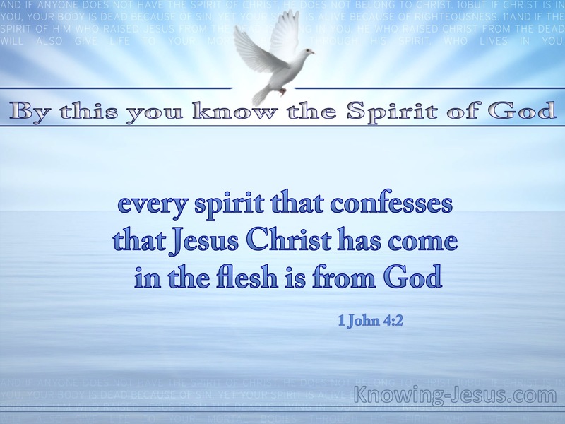 1 John 4:2 Jesus Christ Has Come In The Flesh (aqua)